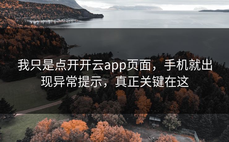 我只是点开开云app页面，手机就出现异常提示，真正关键在这