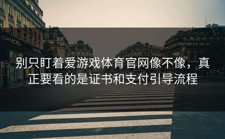 别只盯着爱游戏体育官网像不像，真正要看的是证书和支付引导流程