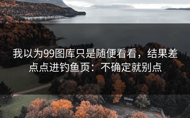 我以为99图库只是随便看看，结果差点点进钓鱼页：不确定就别点