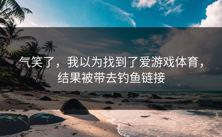 气笑了，我以为找到了爱游戏体育，结果被带去钓鱼链接
